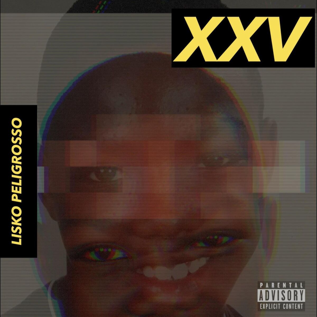 Album cover of XXV
