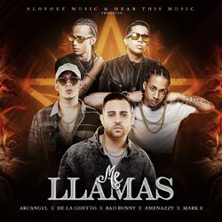 Cover of Me Llamas
