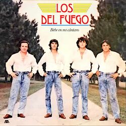 Cover of Bebe en Mi Cántaro