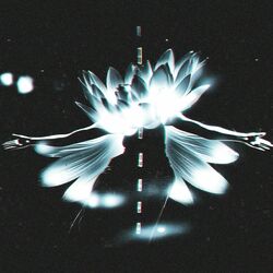 Cover of Balance