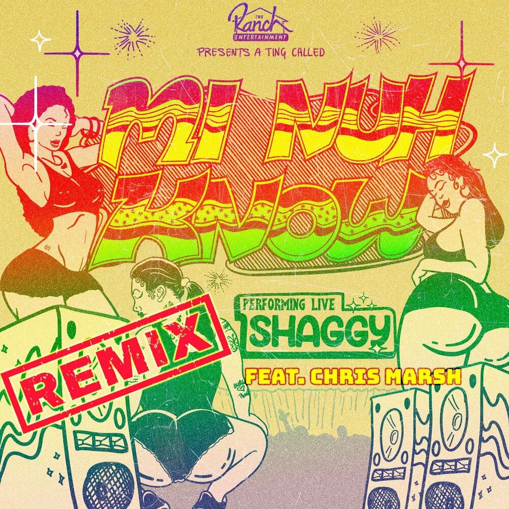 Picture of Mi Nuh Know (Remix)