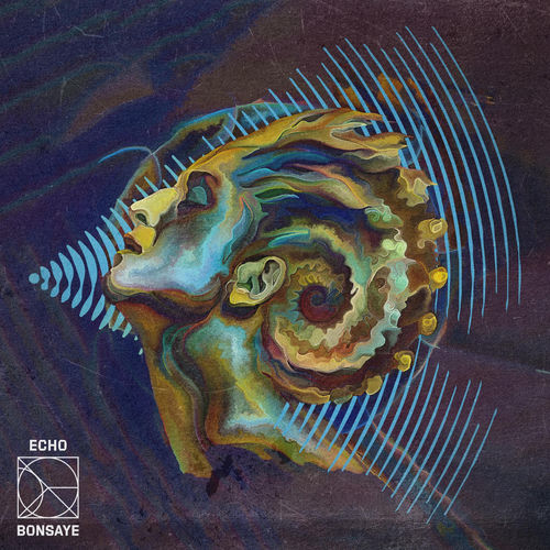 Echo