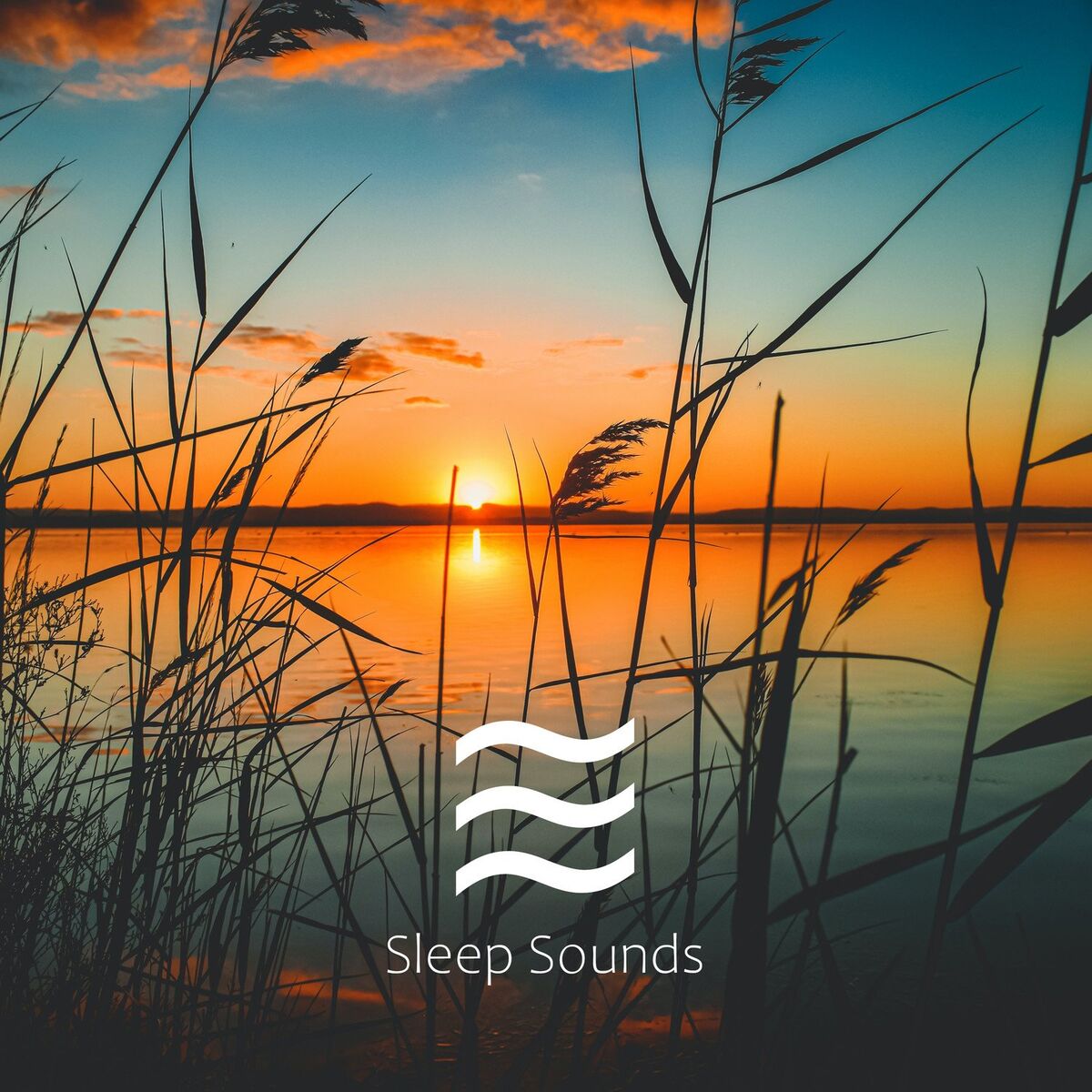Album cover of White Noise Sleep