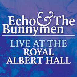 Cover of Live at the Royal Albert Hall