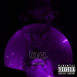 Cover of Wizards