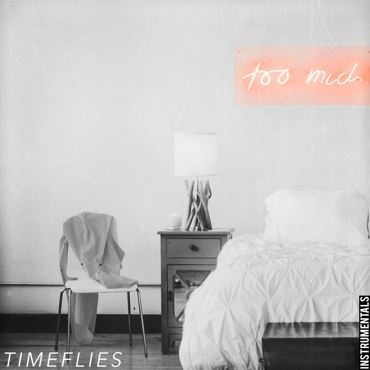 Album cover of Too Much (Instrumental)