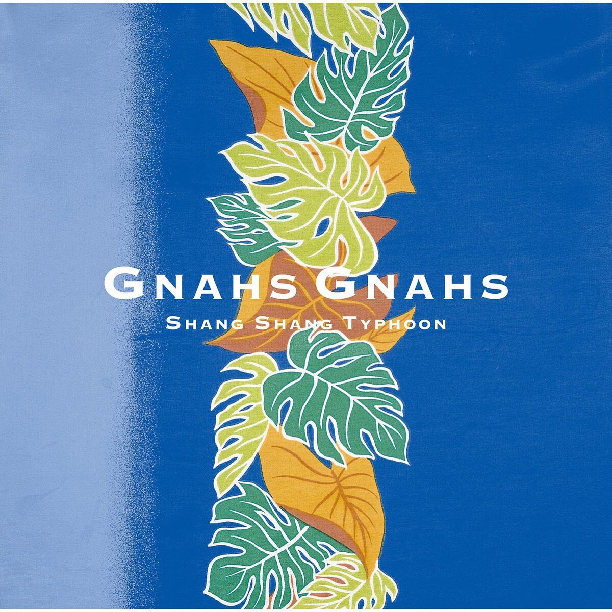 Album cover of Gnahs Gnahs
