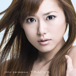 Cover of Tracks