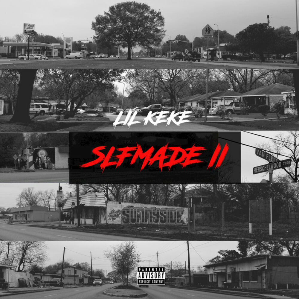 Picture of Slfmade II