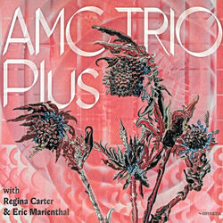 Cover of AMC Trio Plus