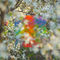 Teenage Birdsong by Four Tet album cover