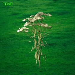 Cover of Tend (Live)