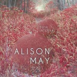 Cover of Dusk Interval
