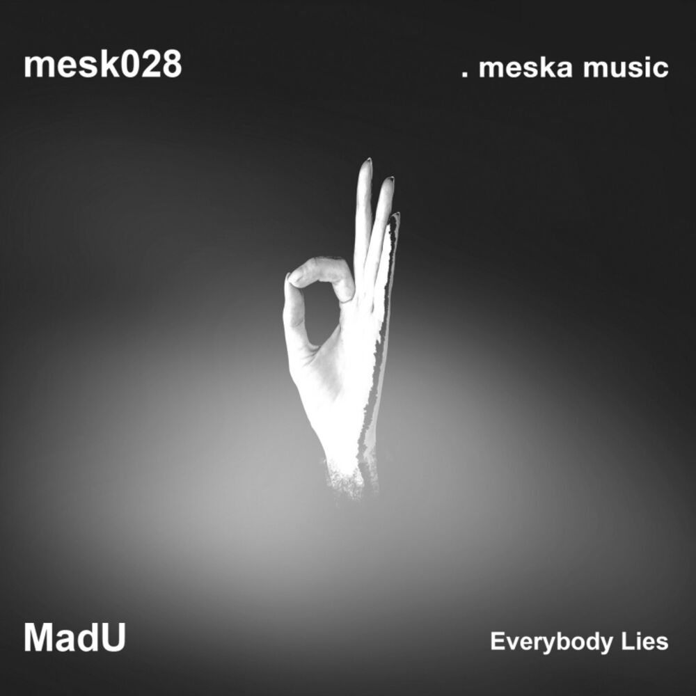 Picture of Everybody Lies