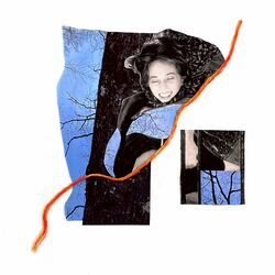 Cover of Blue Hippo