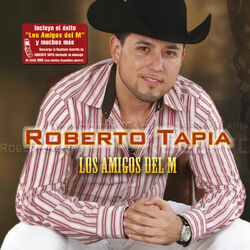 Cover of Los Amigos Del M