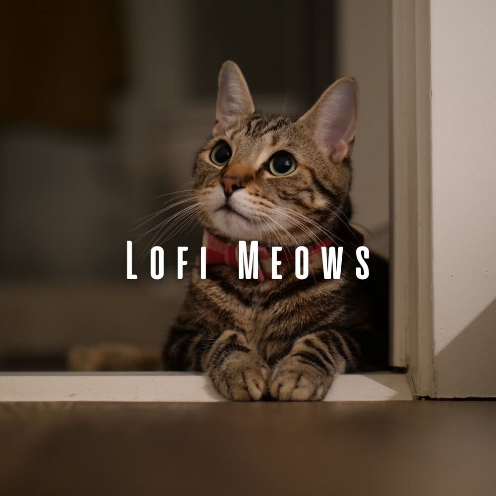 Picture of Lofi Meows: Mellow Melodies for Cats