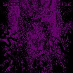 Cover of Twin Flame