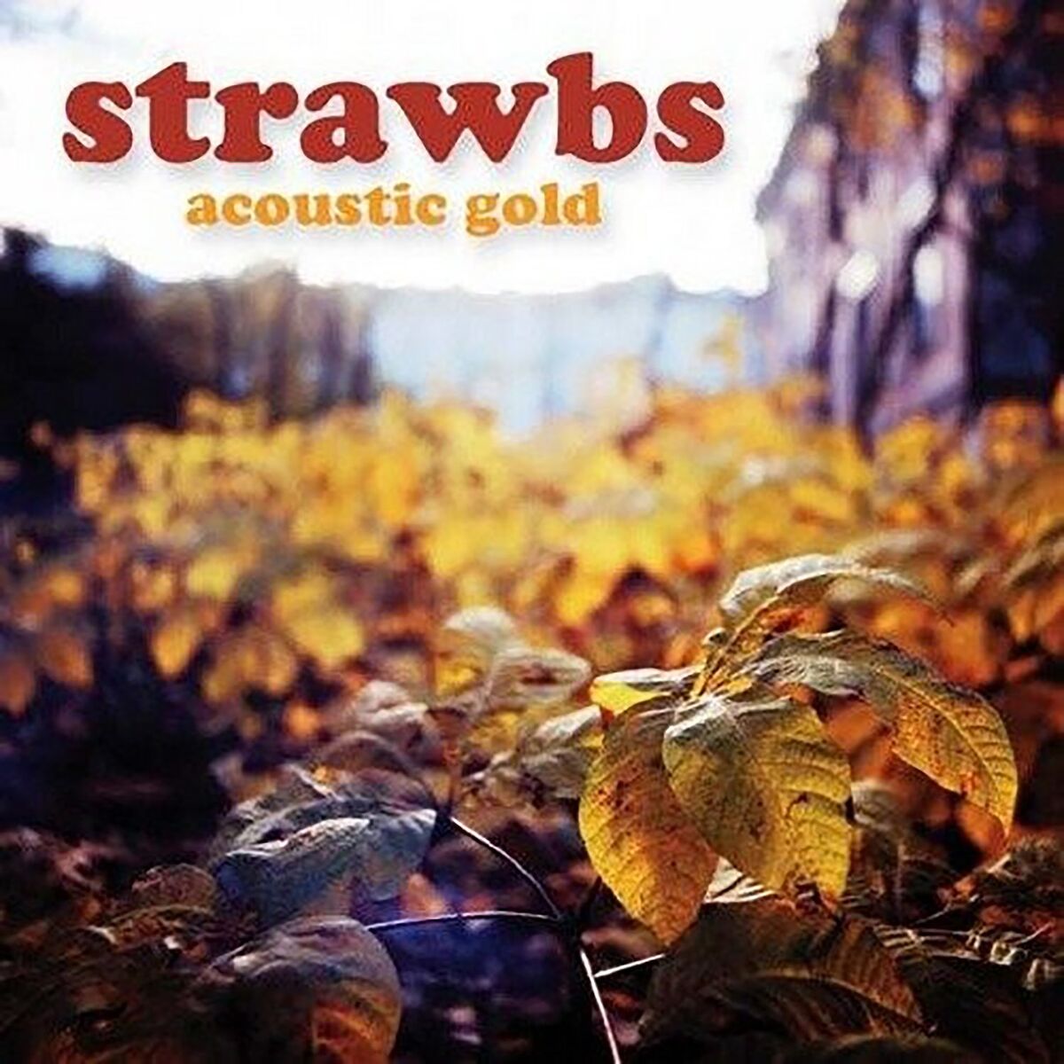 Album cover of Acoustic Gold