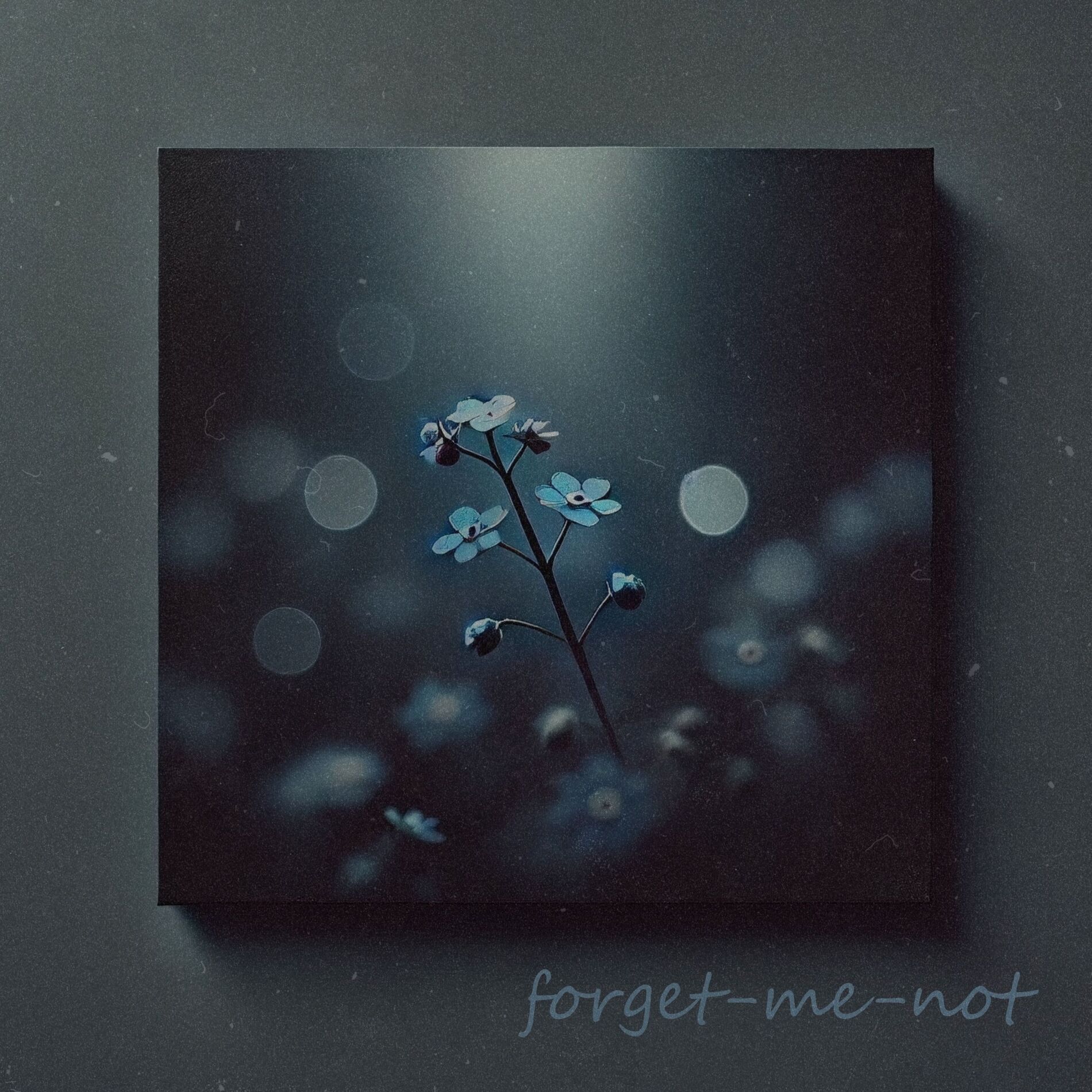 Album cover of forget-me-not