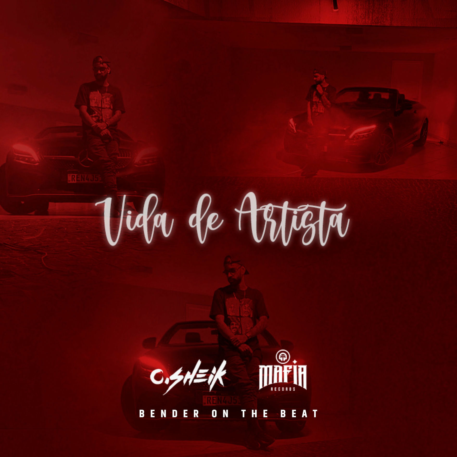 Album cover of Vida De Artista