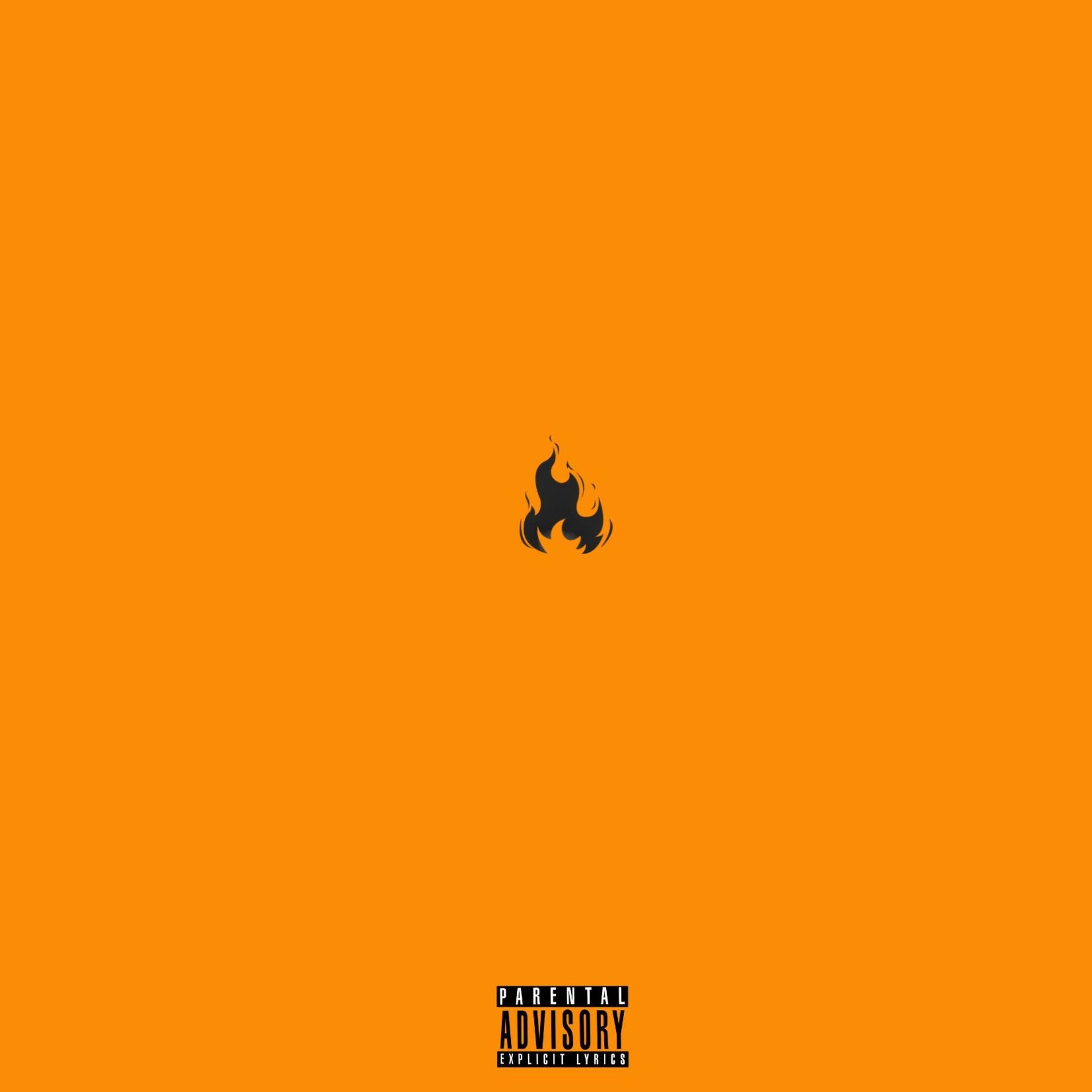 Album cover of Lit