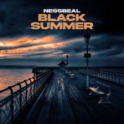 Cover of Black Summer