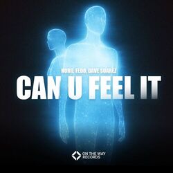 Cover of Can U Feel It