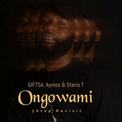 Cover of Ongowami ( 3Step Revisit )