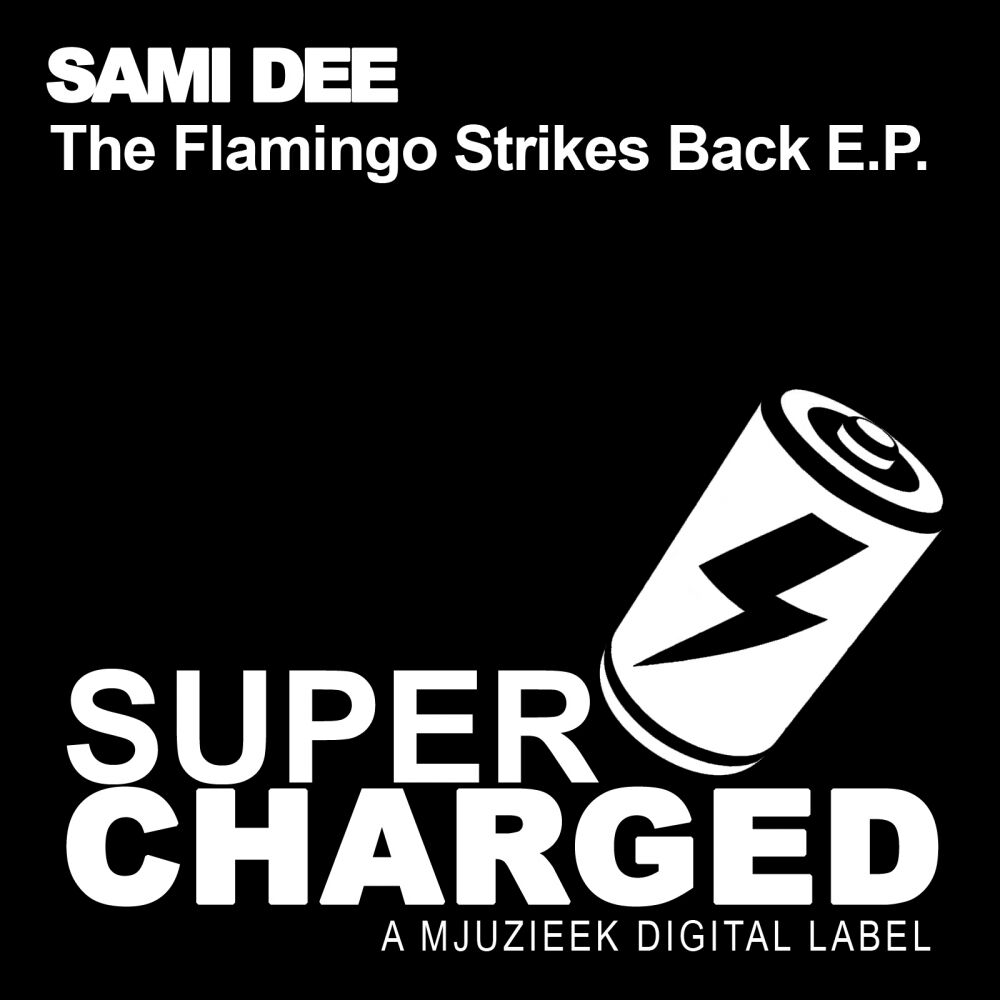Picture of The Flamingo Strikes Back E.P.