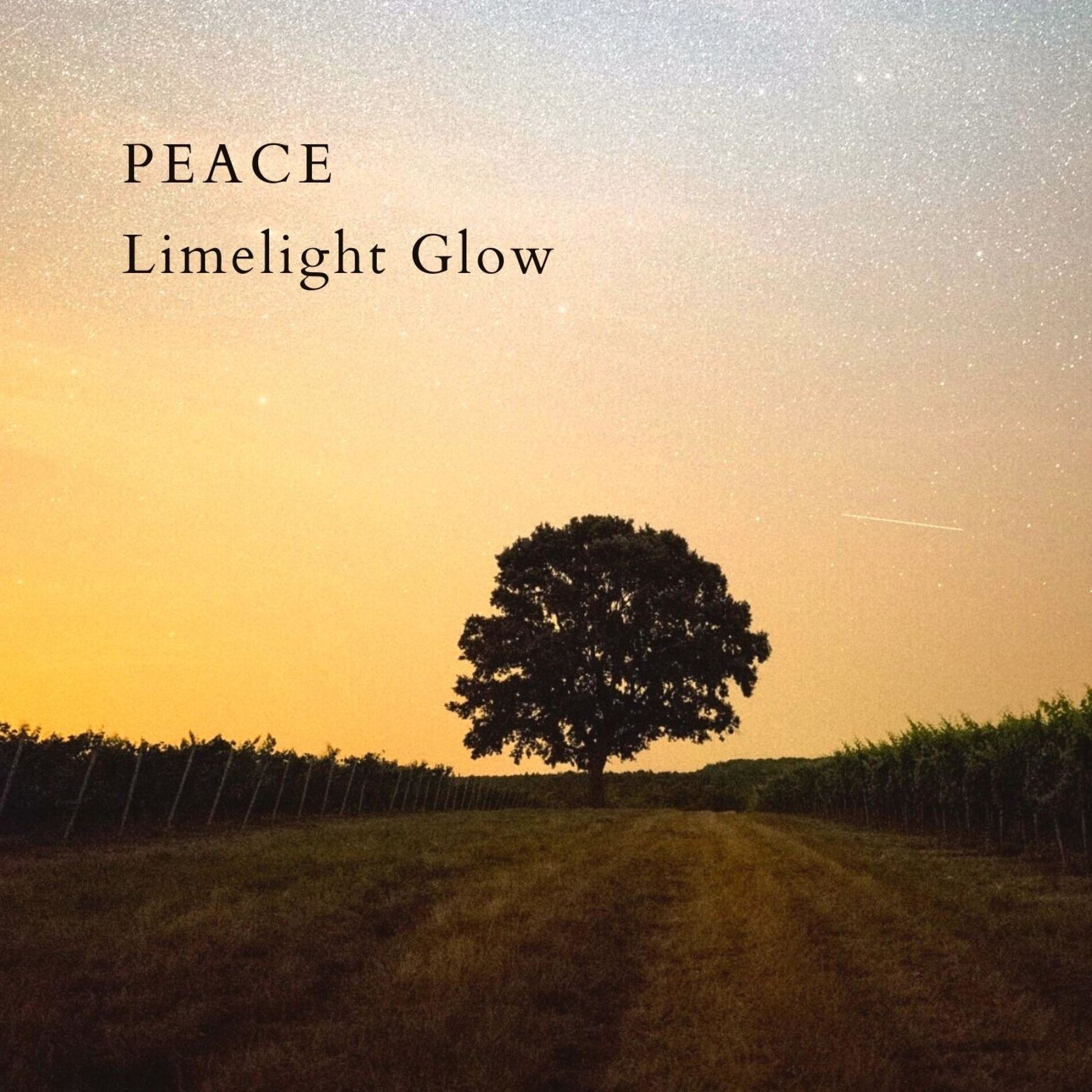 Album cover of Peace