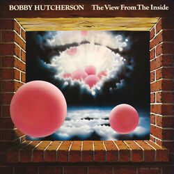 Cover of The View From The Inside
