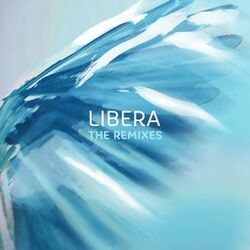 Cover of The Remixes