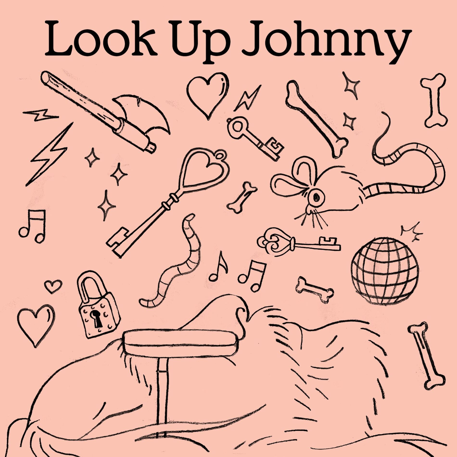 Album cover of Look Up Johnny