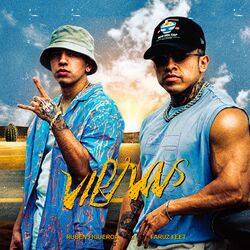 Cover of Vibras
