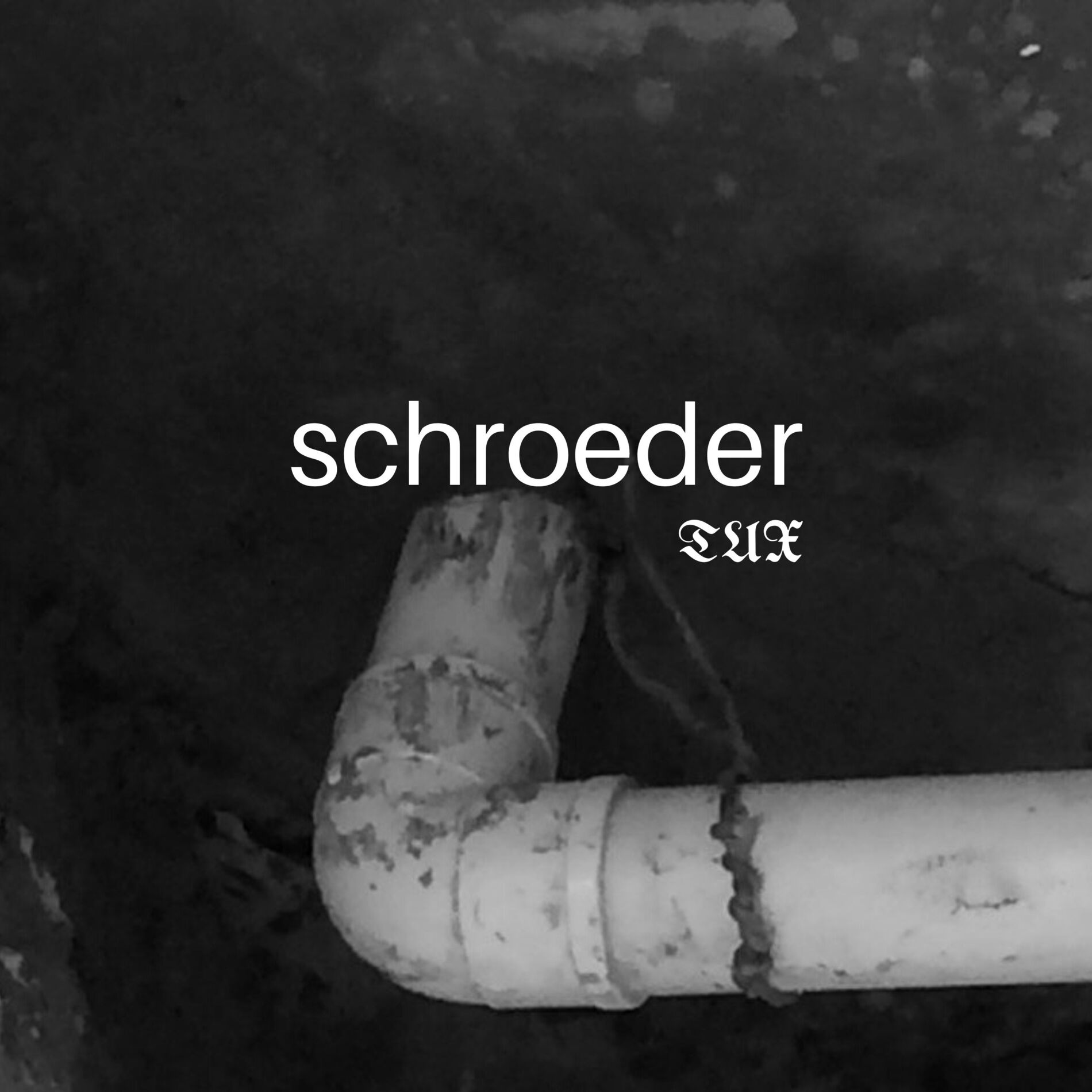 Album cover of Schroeder