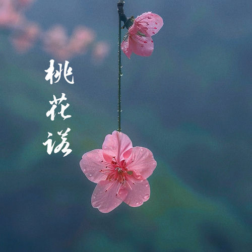 桃花诺 (烟嗓版)