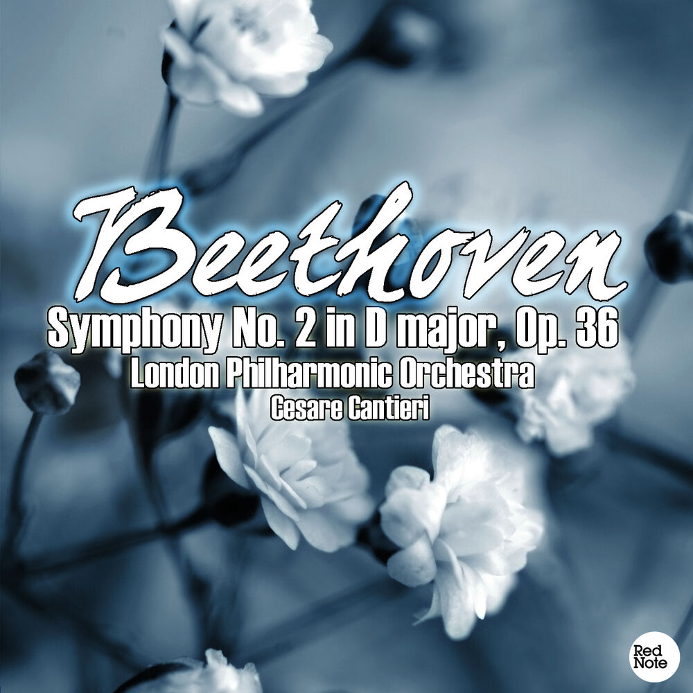 Picture of Beethoven: Symphony No. 2 in D major, Op. 36