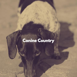 Cover of Canine Country by undefined