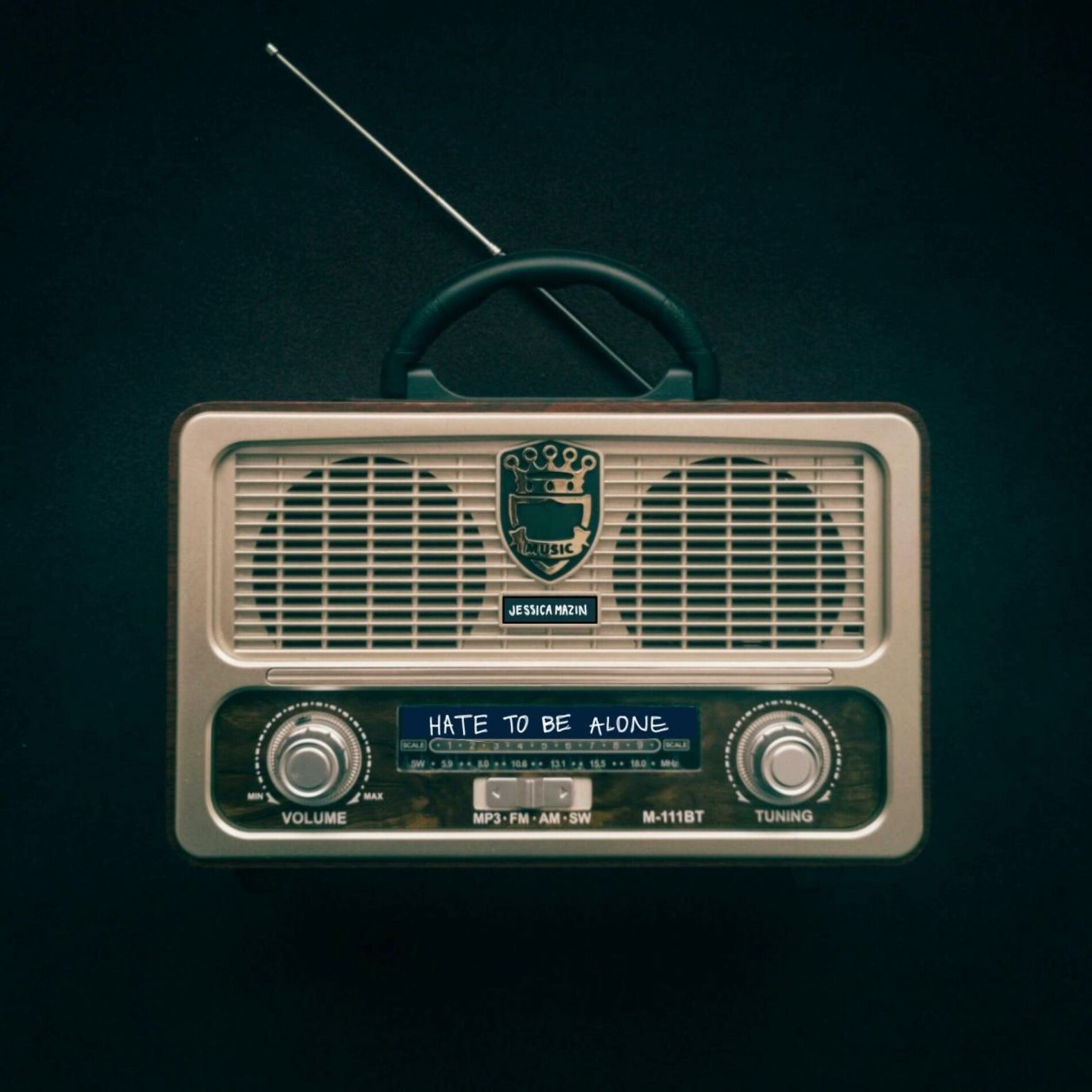 Album cover of HATE TO BE ALONE