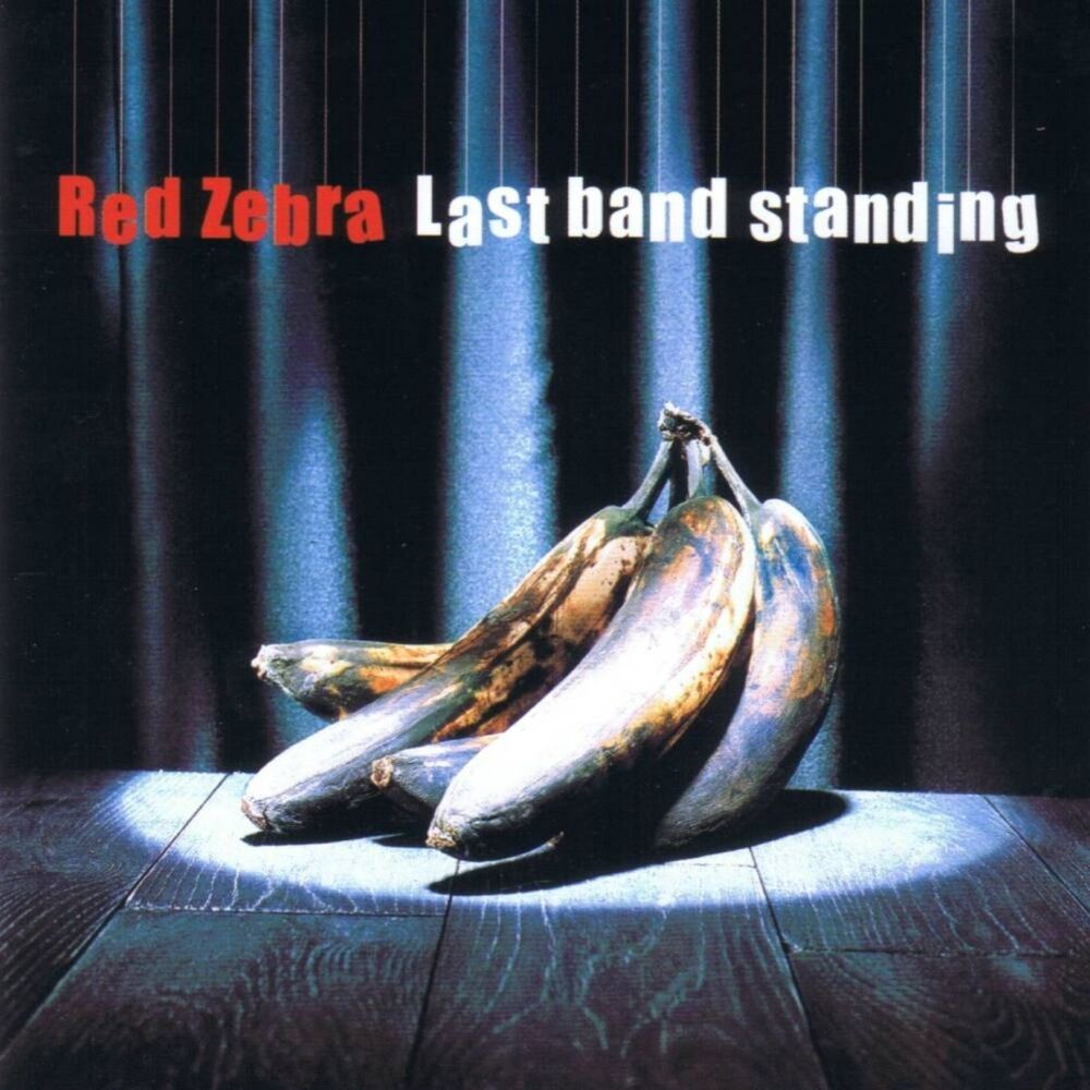 Picture of Last Band Standing