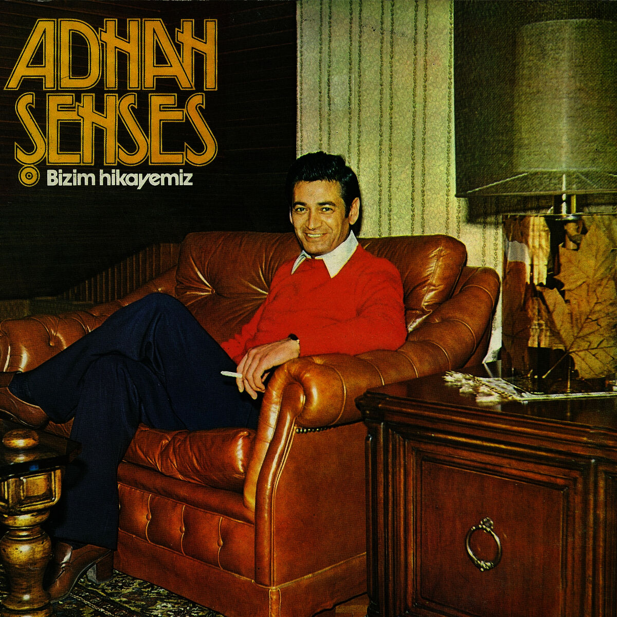 Album cover of Bizim Hikayemiz