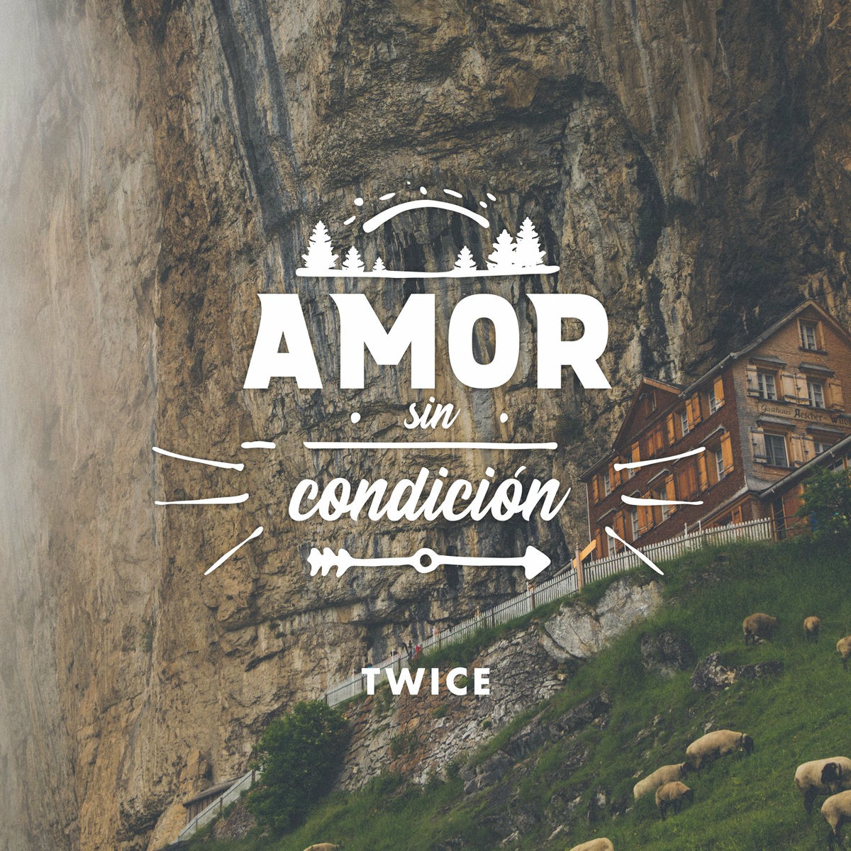 Album picture of Amor Sin Condición