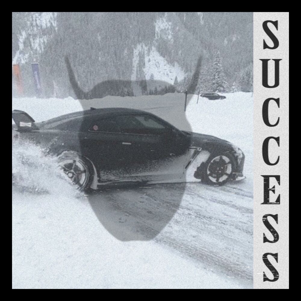 Picture of Success