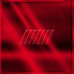 Cover of NEW KIDS REPACKAGE : THE NEW KIDS