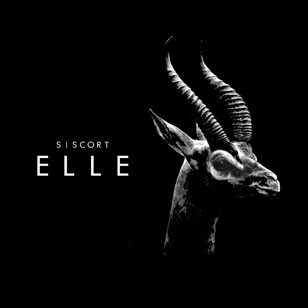 Picture of Elle