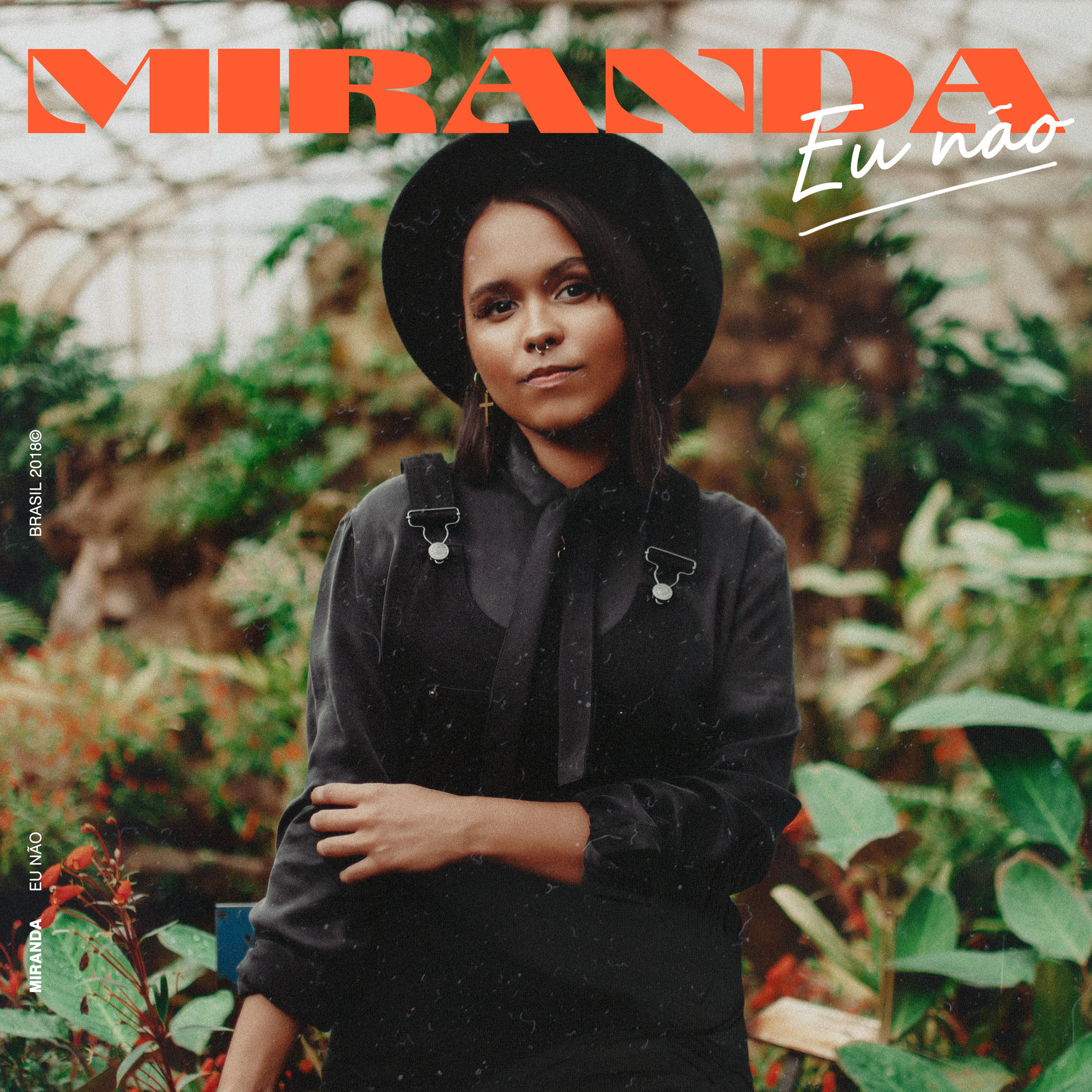 Album cover of Eu não