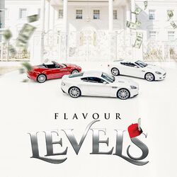 Cover of Levels