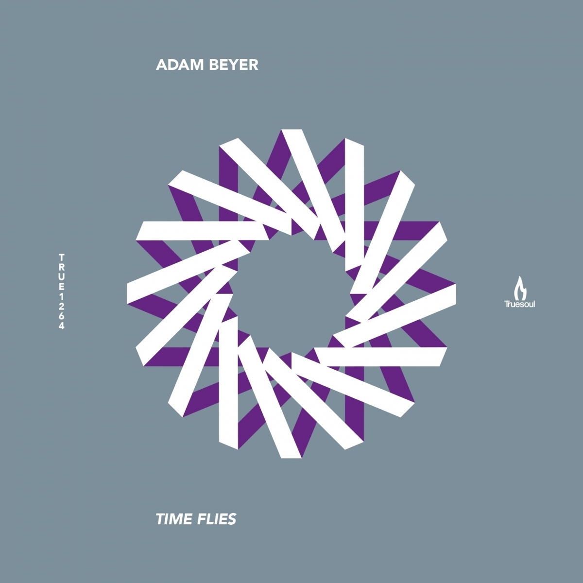 Album cover of Time Flies