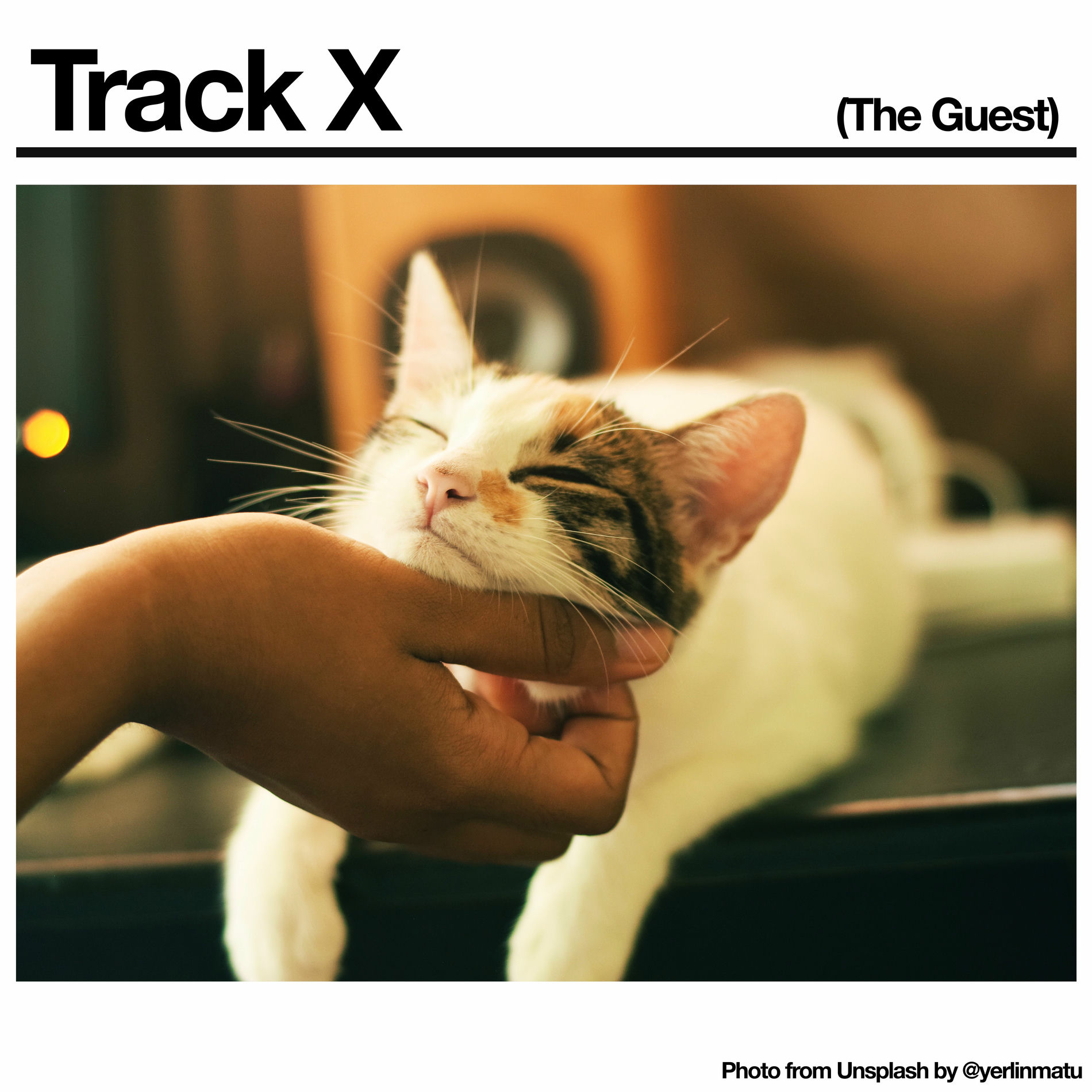 Album cover of Track X (The Guest)
